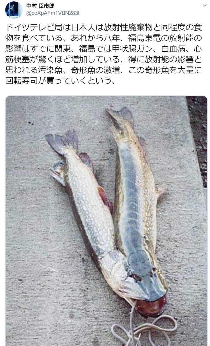 06年のカナダで獲れた奇形魚の写真を持ち出して福島原発事故の放射能の影響とデマを吐く放射脳 Togetter