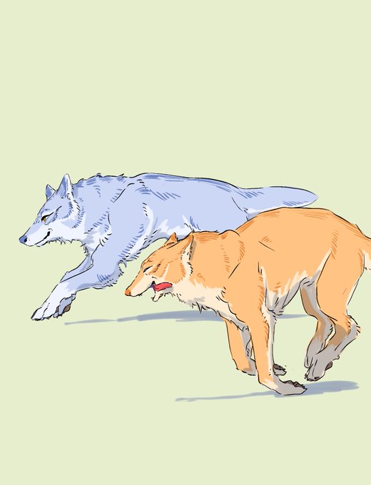 「犬 狼」のTwitter画像/イラスト(古い順)