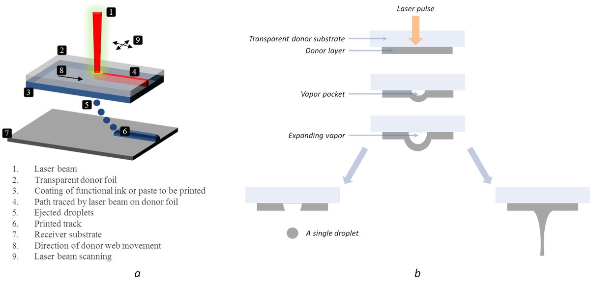 hiperlam's tweet photo. @hiperlam technology is based on Laser Induced Forward Transfer, also known as #LIFT. This technology stands out due to its versatility and high resolution and has been demonstrated by @orbotech and @TNO_Research at unprecedented speed.  
Read more ⬇️⬇️⬇️
https://t.co/J9sJX2j7MF https://t.co/yzPt9cYoe3