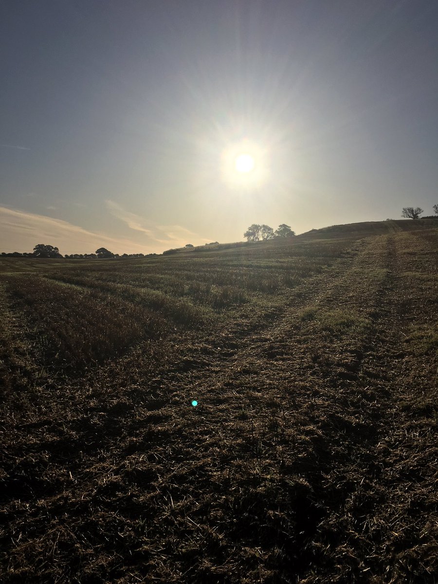 Studio44Pilates's tweet photo. Unusually both morning clients away so free morning and what a morning to do a 5 miler! 😎. Set up for the day now 👍 #ukrunchat #dogfit #canicross #runningwithmydog #runmumrun https://t.co/b9CAi9ims8