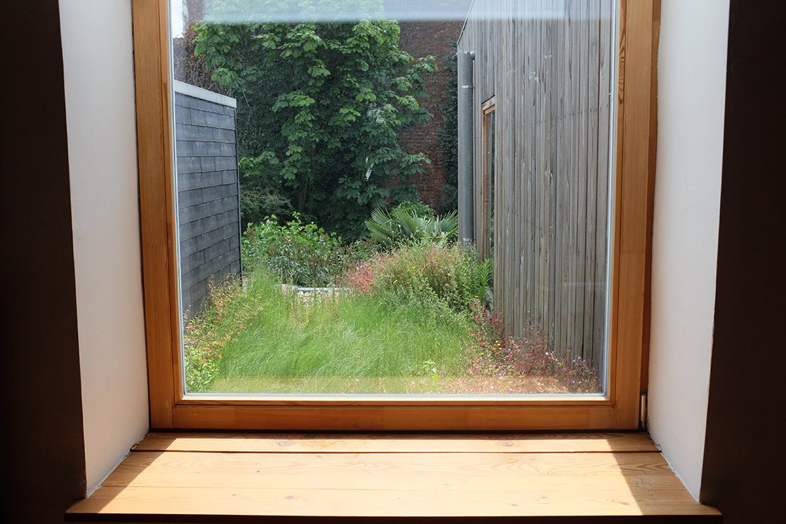 “Laat het gras maar groeien”, zingt Sam Goris. “Laat de kruiden maar groeien”, zeggen wij. Dit is een #natuurdak met grote N, in het drukbevolkte Antwerpen-Berchem. #groendak
canopy-greenroofs.be/blogPost/natuu…