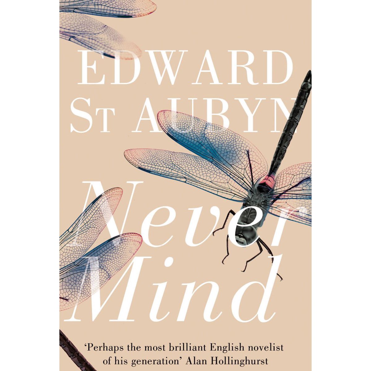 firstlondonbook's tweet photo. This month, we're reading Edward St Aubyn's Never Mind. Discussion on the 9th of October! π#firstlondonbookclub #flbc #LondonBookClub #bookclub https://t.co/lINqHKZMYJ