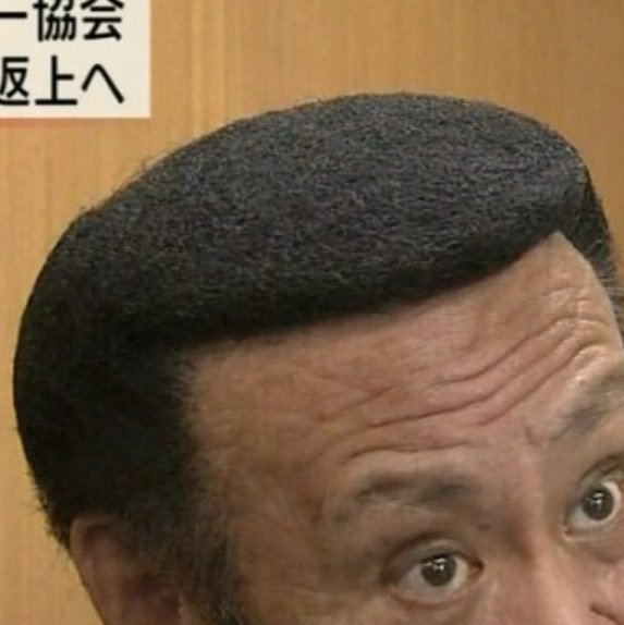 みりん Op Twitter テコンドー協会会長 ヅラ過ぎる スチールタワシみたいwww