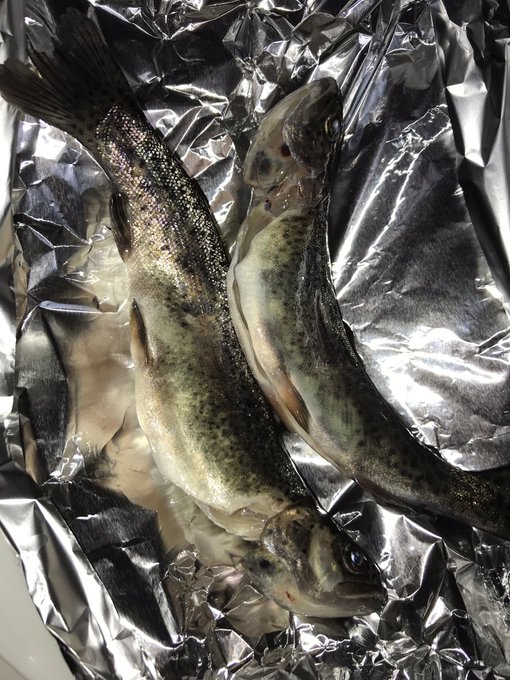 イワナのtwitterイラスト検索結果 古い順