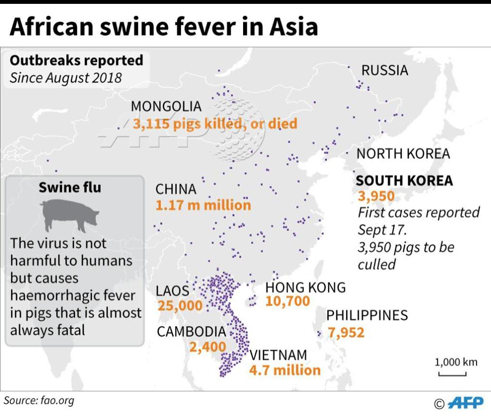 Image result for african swine fever outbreaks reported 2018 fao