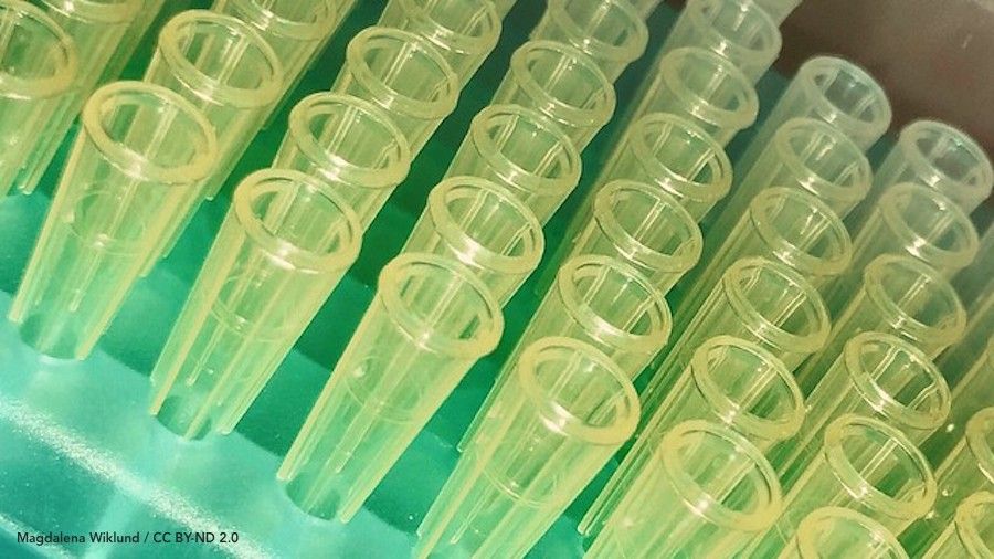 eLifeCommunity's tweet photo. Today is #LabWasteDay! 🌏 Join the #eLifeAmbassadors and help raise awareness about the environmental impact of science by sharing a picture of the plastic waste you make today ♻️ https://t.co/27gp0BIOya https://t.co/0FT1snrHHM