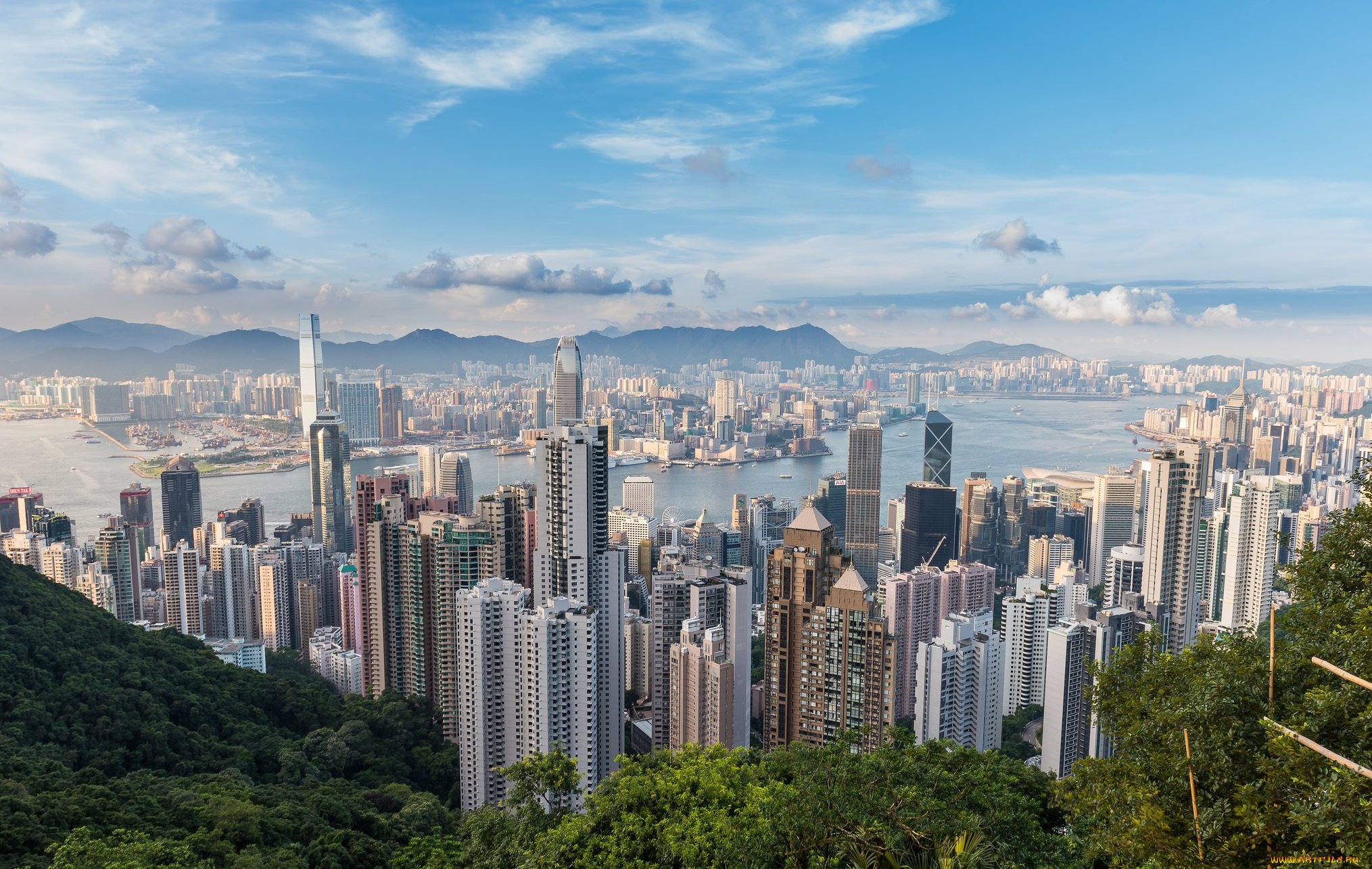 �������� �������� �� ������� ����, ����� ������