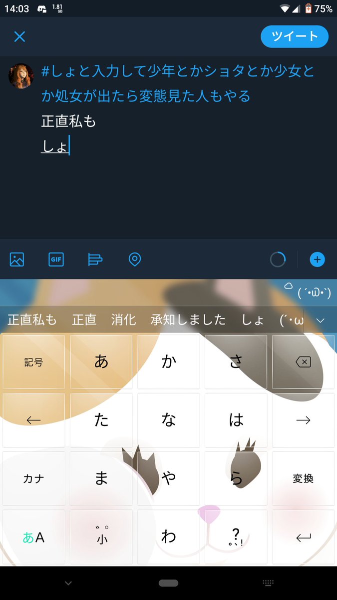 のえる ぱんでも Auf Twitter しょと入力して少年とかショタとか少女とか処女が出たら変態見た人もやる 正直私も この顔文字はなんなんだ笑