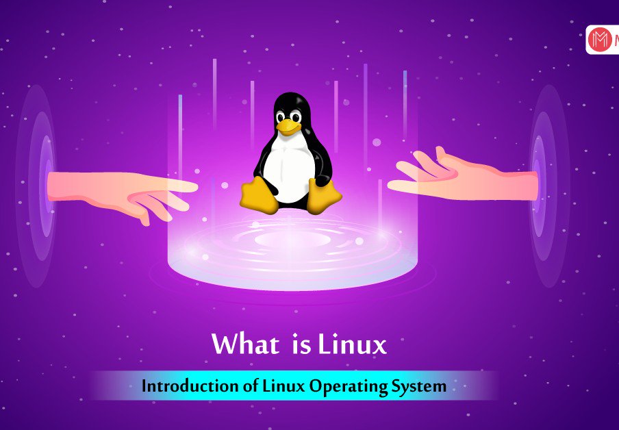 mindmajix's tweet image. Linux is an open source operating system that is made up of the kernel, the base component of the OS, and the tools, apps, and services bundled along with it. Learn more! bit.ly/2lSzRrA
#Linux #whatislinux #os #kalilinux #software #developer #hackers