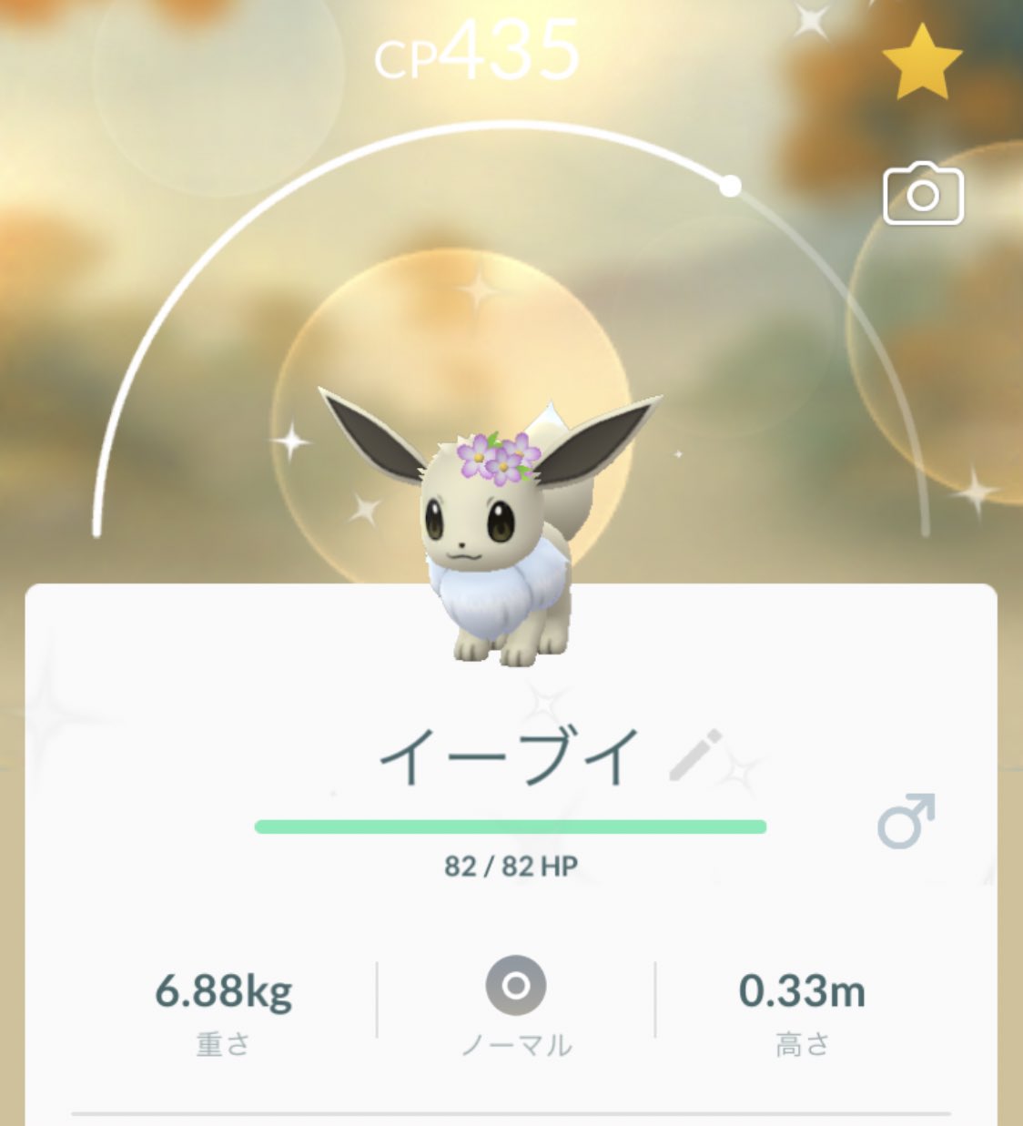 ひかちゃん 自陣激推し えっ これって確定なんかな 時を超えるポケモンを追え 3 8にて 色違い 花飾りイーブイ かわいいいい T Co dhdvpbqi Twitter