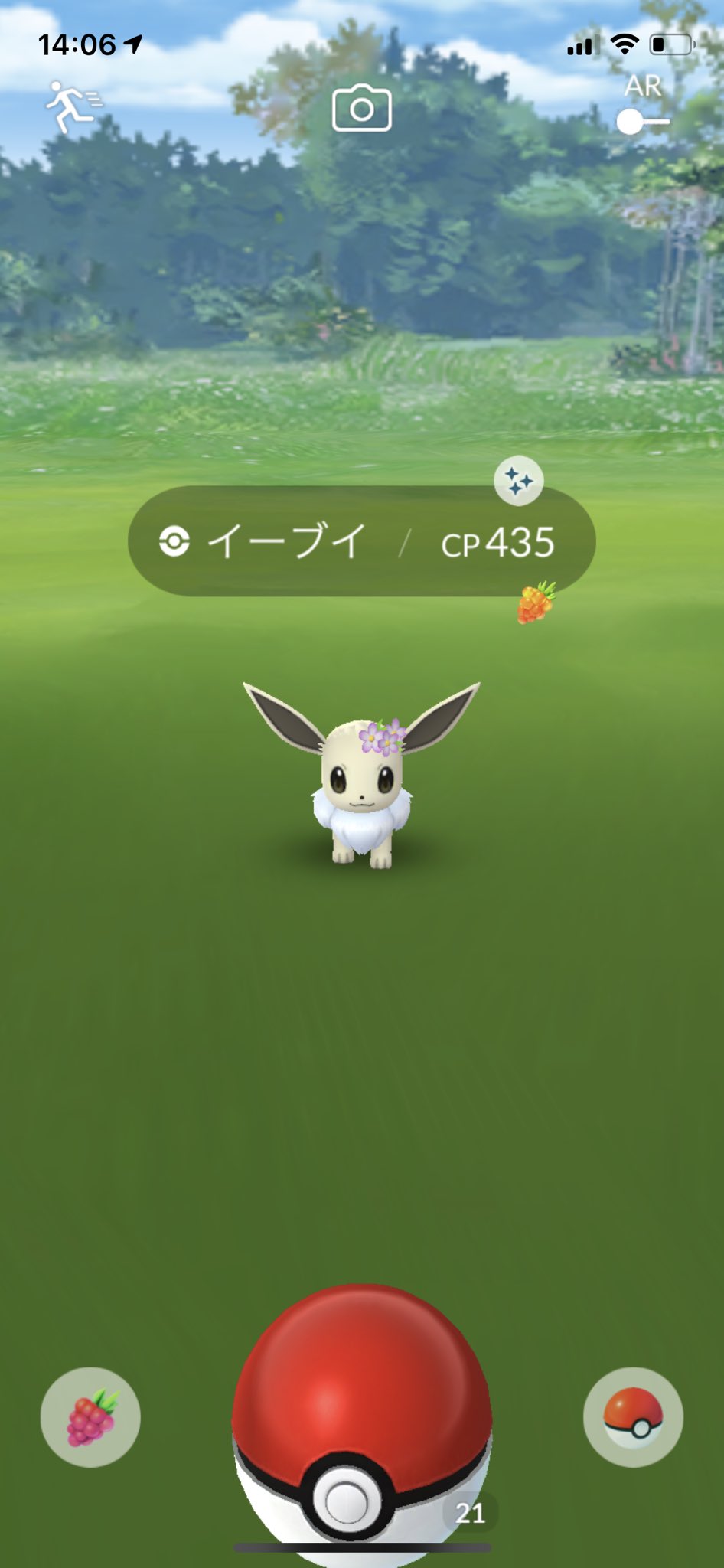 ひかちゃん 自陣激推し えっ これって確定なんかな 時を超えるポケモンを追え 3 8にて 色違い 花飾りイーブイ かわいいいい T Co dhdvpbqi Twitter
