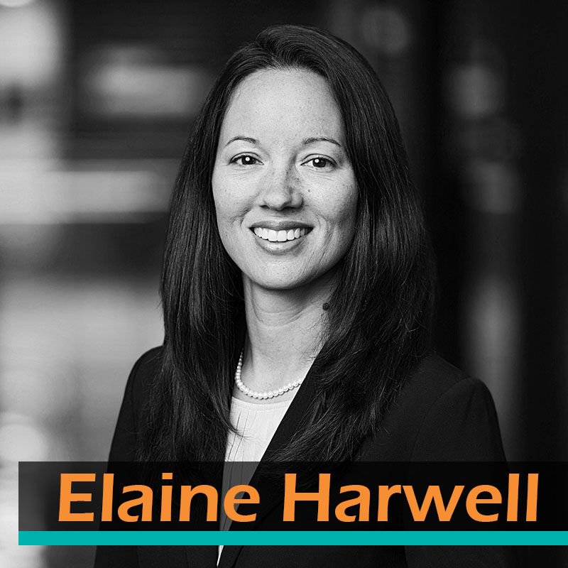 [ Elaine knows #PrivacyLaw ] About our PRIVACY LAW presenter buff.ly/2IpnUCj @ElaineHarwell @procopiolaw #cybersecurity #dataprivacy #siliconvalley #liveworkshop