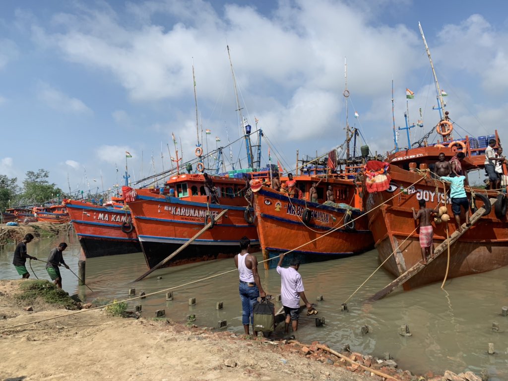 For the last few weeks I have been working in #Digha #WestBengal for @GulfElasmo doing interviews with fishermen on #Rhinorays, to understand the social and economic drivers behind the exploitation of #guitarfish and #wedgefish in the area. #PewMarineFellows @pewenvironment.