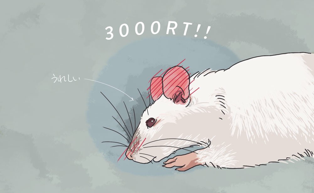 𝘔𝘐𝘖𝘔𝘖𝘙𝘐 ミオモリ 日常 ネズミ 喜びの表情がほとんど無いんだけど 最近の研究で 嬉しいと耳が赤くなる って判明したらしくて もう どんだけ可愛いんだよ アニメの表現かよ っておもいました 𝘔𝘐𝘖𝘔𝘖𝘙𝘐 ミオモリ 日常 ネズミ 喜びの表情がほとんど無いんだけど 最近の研究で 嬉しいと耳が赤くなる って判明したらしくて もう どんだけ可愛いんだよ アニメの表現かよ っておもいました