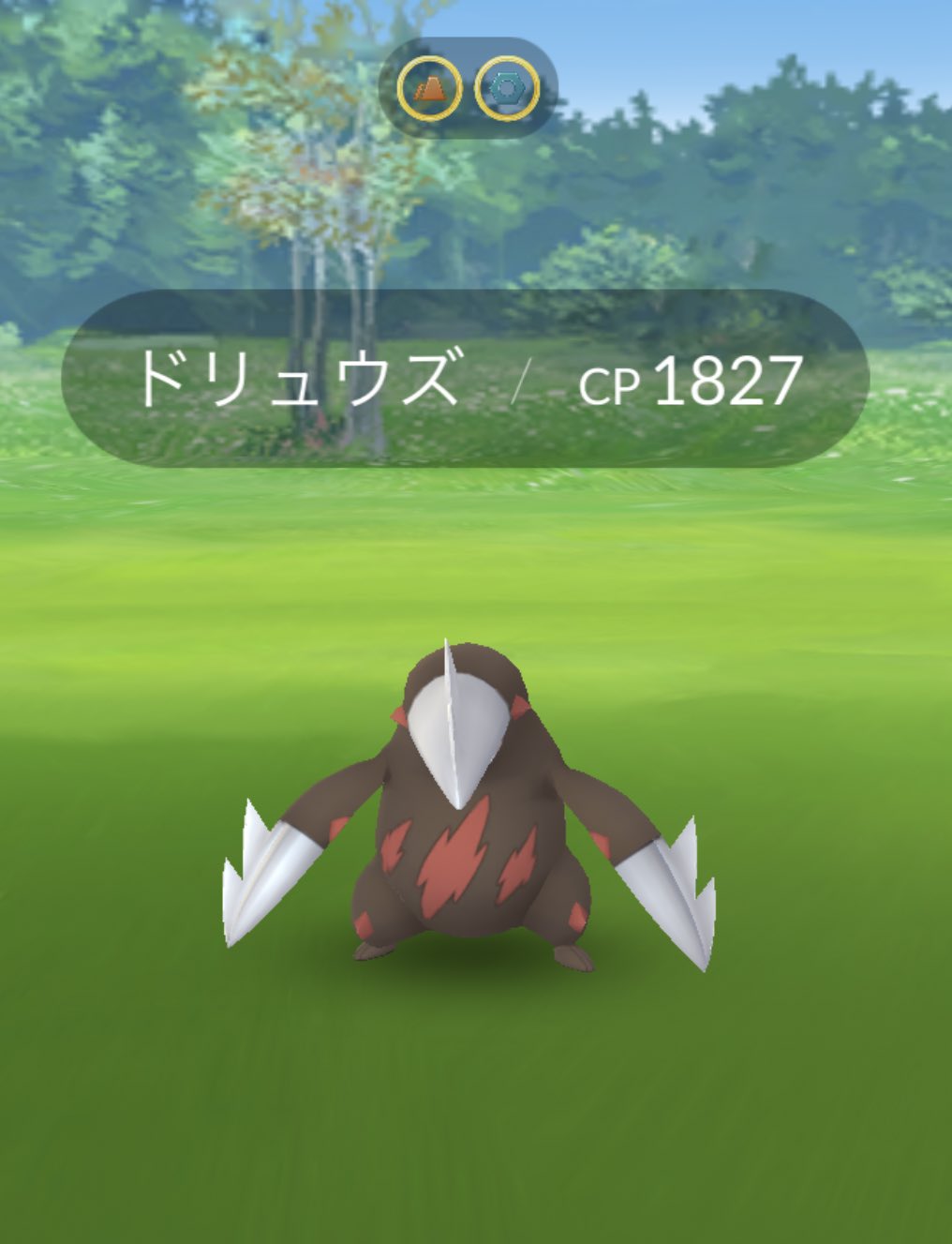 アール ポケモンgo Auf Twitter 野生のドリュウズ捕まえました ミュウツーは11戦して色違いはでてません レイドパス足りなさそう 今回のハイパーボックス買いたくないよ ポケモンgo T Co 2smbvbs2ho Twitter