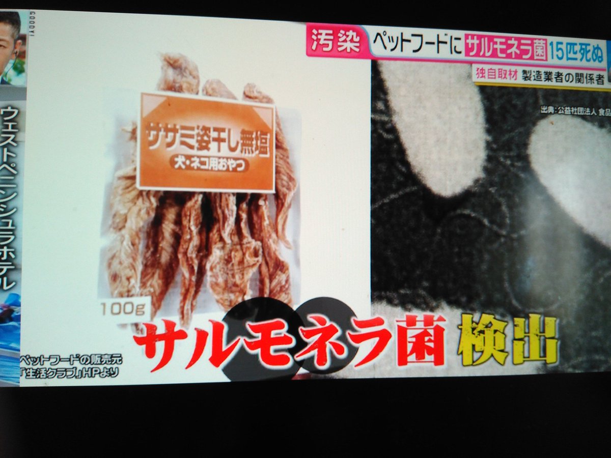 サルモネラ菌 Twitter Search サルモネラ菌 Twitter Search