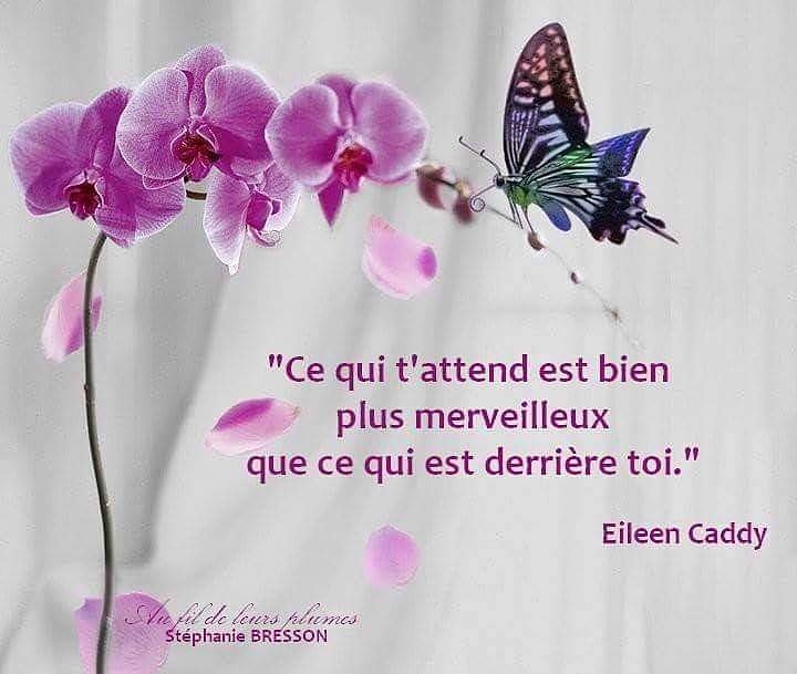 cos_bellus's tweet photo. Il ne faut pas se morfondre sur son passé, mais se concentrer sur son présent https://t.co/amCd0qk3yN