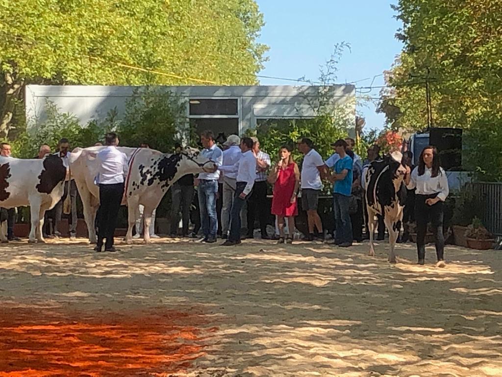 Fanny Dervaux tweet media