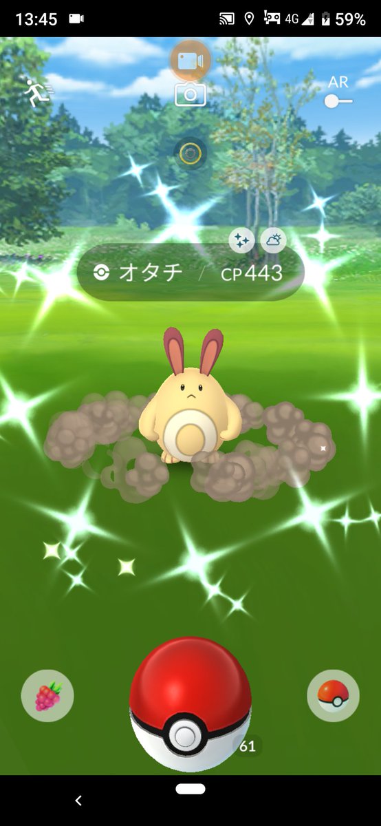 Kuma ポケモンgo専用 先ほど 待ち焦がれてた色オタチ降臨 いやはや 待ってたよ オオタチへ即進化 かわいい アイコン色違いにしよう
