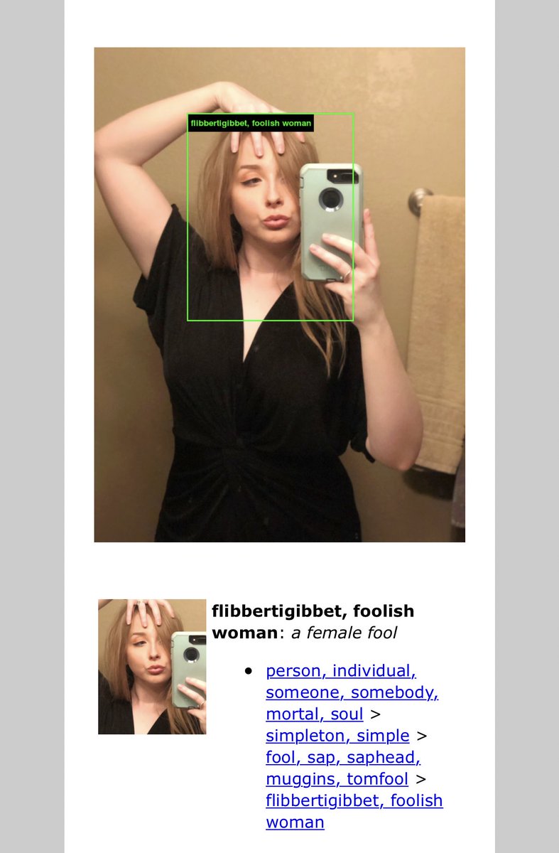 cactus4ngel's tweet image. a sap, a muggins, a flibbertigibbet if you will #imagenetroulette