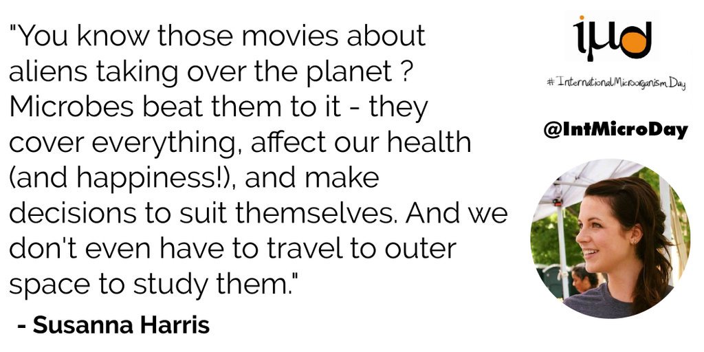 The YSS lab tweet media