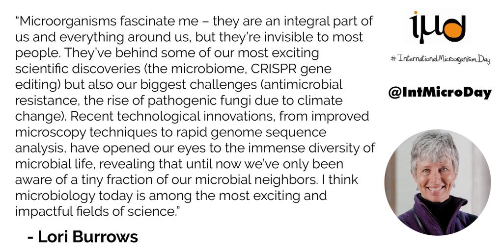 The YSS lab tweet media