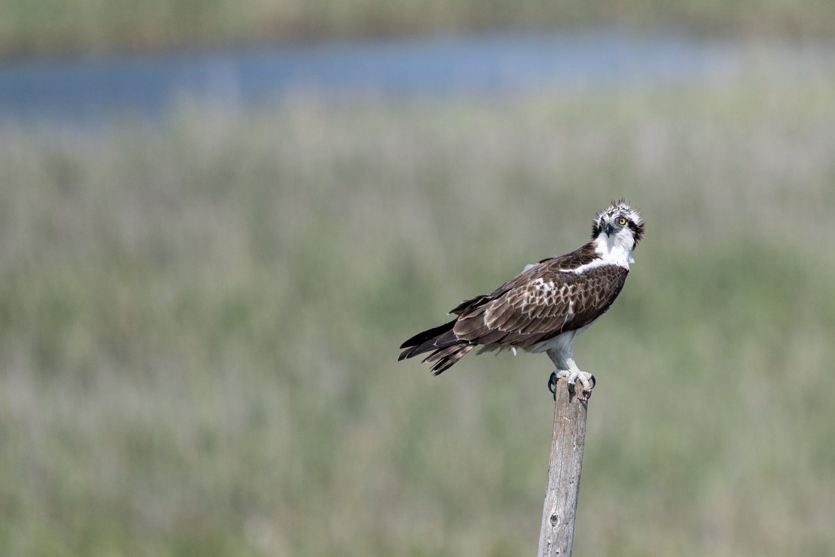 モーメント代理19 3ページ目 Togetter