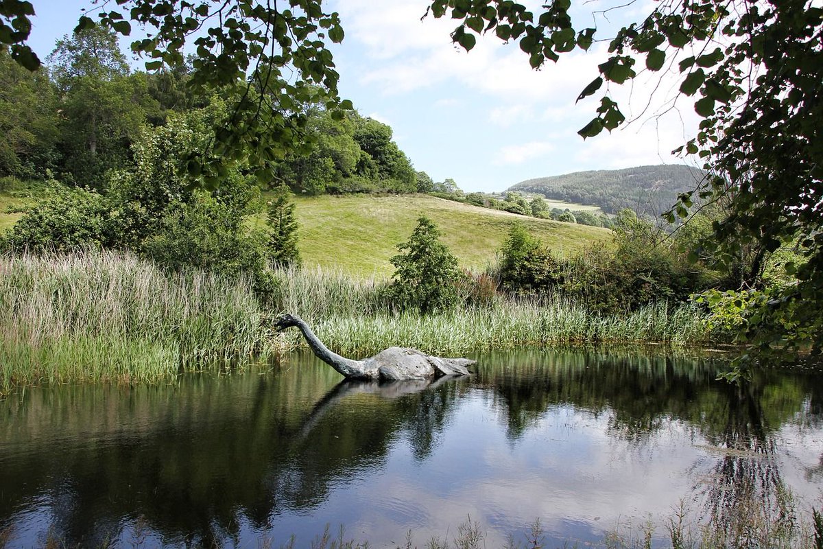 DaturaDNA's tweet photo. Wie had dat gedacht... Geen eDNA van meervallen, haaien of plesiosaurussen. Wél van alen. #wetenschap #legende #feiten #LochNess #Nessie #LochNessMonster #EnvironmentalDNA https://t.co/zDw7wFiJEH https://t.co/rFydVvCzio