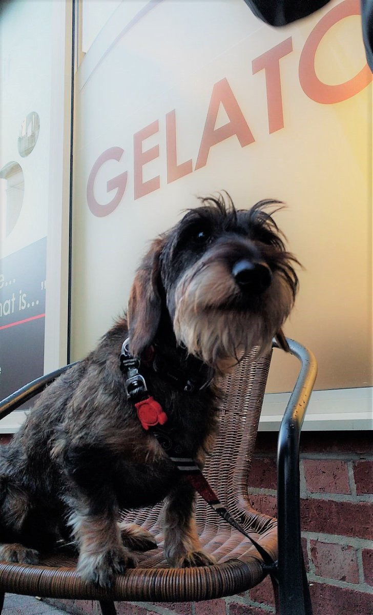 Antonio and Daniele are setting off (with Baffo of course) on the long drive to Piedmont, Italy. They'll be showcasing a very special anchovy &amp; <a href="/inalpi_spa/">Inalpi</a> butter #gelato at the <a href="/SlowFoodHQ/">Slow Food</a> #Cheese festival over the weekend, served on a slice of <a href="/BisbrookeBakes/">Bisbrooke Artisans</a> #sourdough!