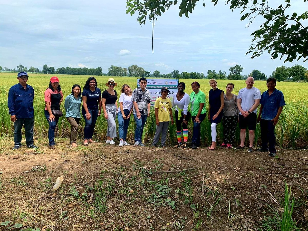 Giulia, notre Associée basée en #Alsace est revenue de Thaïlande où elle a participé au #MarsAmbassadorProgramme ! 🌏Restez connectés pour savoir ce qu'elle a appris sur les rizières et la façon dont Mars supporte les #riziculteurs pour une #agriculture plus durable ! 😍💪