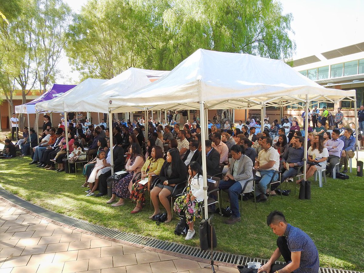 Damien Ryan tweet media