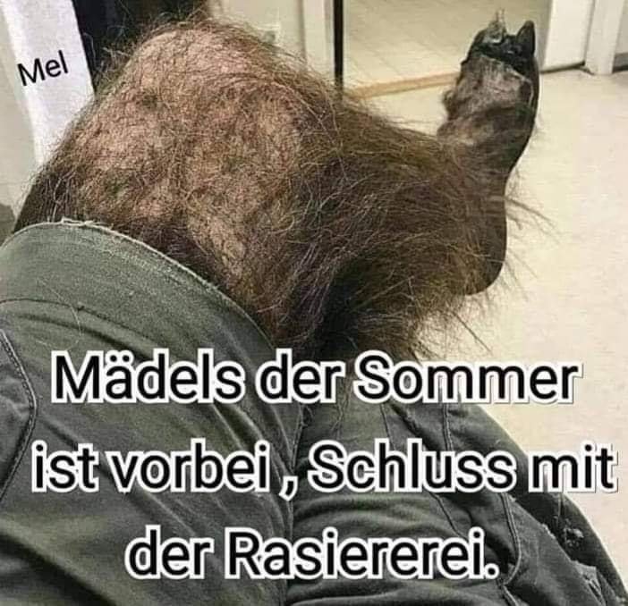 Die Intervalle werden erhöht  🤣🤣🤣