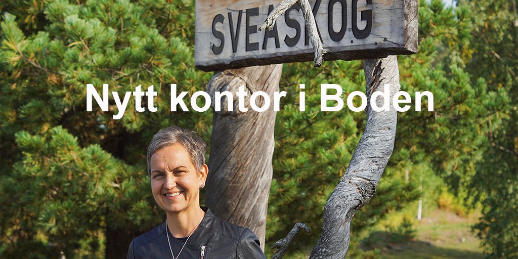sveaskog's tweet photo. Sveaskog stärker närvaron i #Norrbotten och planerar nytt kontor i #Boden.
Hannele Arvonen, vd: ”Vår strategi, arbetssätt och filosofi är att vi är lokala. Vi ska ha verksamhet där vi har vår råvara” https://t.co/Y3DfSy4kYF
#skog #samhällsaktör #skogspol #etablering #nyttkontor https://t.co/jTyj6kLk1F