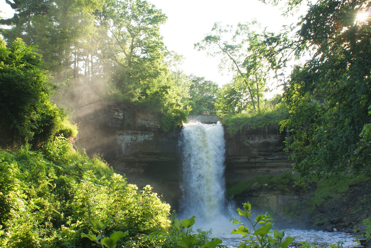 LifeBun1's tweet photo. Green is the prime color of the world, and that from which its loveliness arises. #nature #naturelovers #NaturePhotography #naturesultra #natureismetal #water #waterfalls #waterfall #lifebun #sunrise #TuesdayMorning #TuesdayThoughts https://t.co/p072Xf7fpy