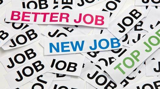 #vacancy #recruiter We are looking for an excellent #networker who knows how to expand our existing Dutch and international agricultural business network even more. Perfect #job for someone with an entrepreneurial, persistent and outgoing character. agriterra.org/vacancies/