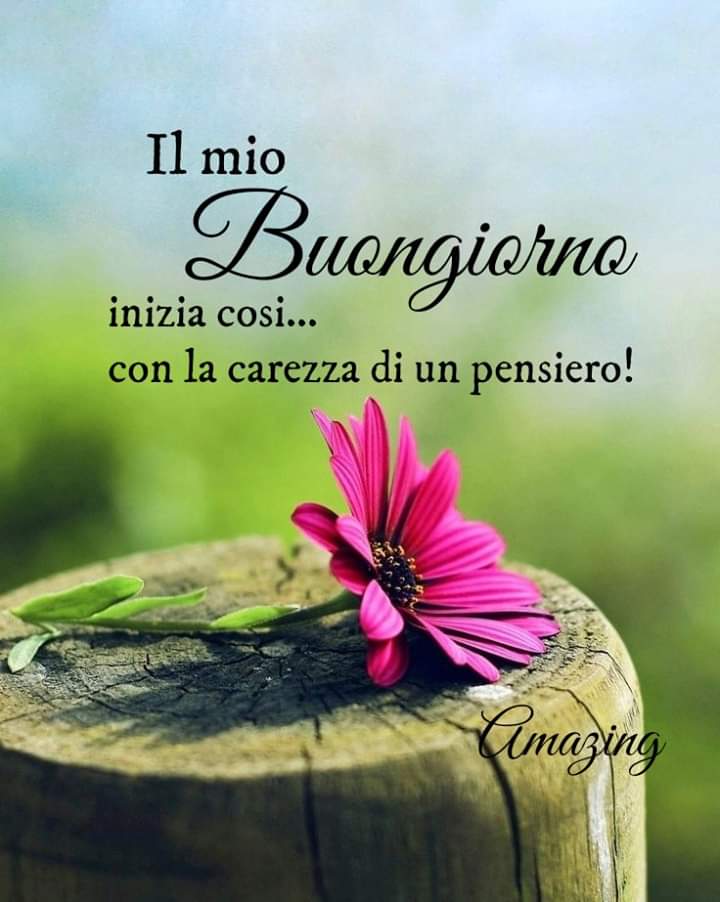 Sperare Sognare Sempre Piera Un Buongiorno Sorriso Nel Suo Passare Ciao Sergio