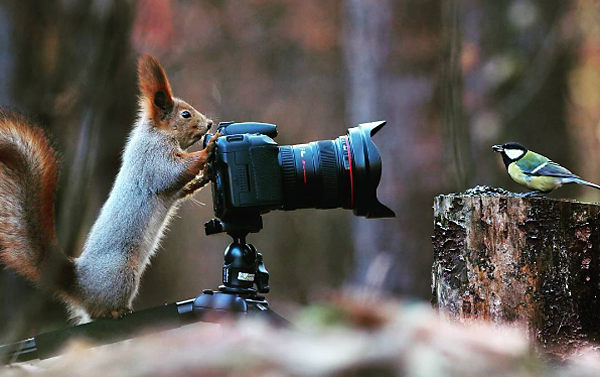 ramblingsloa's tweet photo. Life is like a camera.
Focus on what’s important.
Capture the good times.
And if things don’t work out
Just take another shot.

Ziad K. Abdelnour
Pic Vadim Trunov https://t.co/g7ELoKdlCa