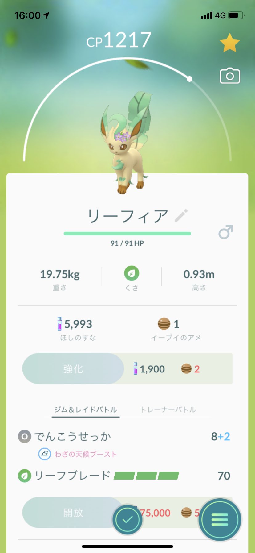 ありすべ 花冠イーブイの進化先はやっぱりリーフィアでしょ T Co Jvjpv7ux1b Twitter ありすべ 花冠イーブイの進化先はやっぱりリーフィアでしょ T Co Jvjpv7ux1b Twitter