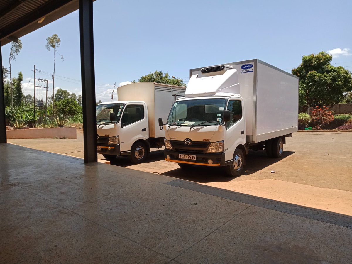 Butternut squash is an orange-fleshed winter squash, celebrated for its versatility and sweet, nutty flavour. 
It has many culinary uses and makes a great addition to many sweet and savory recipes. 
Get in touch with us for your Punch of vitamins....
commercial@instaveg.co.ke