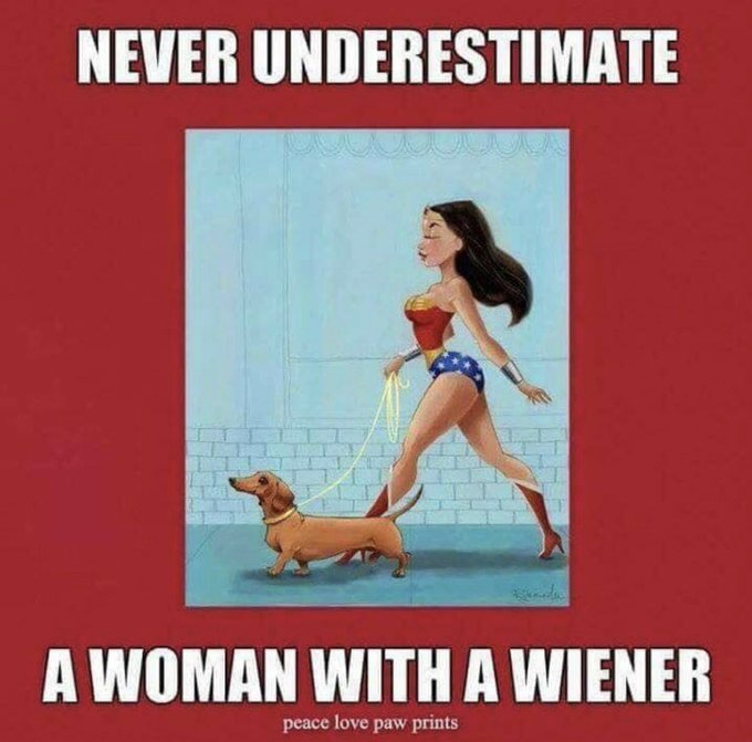 I&rsquo;m obsessed with weenie dogs 😭 https://t.co/sZnViB8VbK<a href="/tag/newprofilepic"class="tags"><span>#newprofilepic</span></a>