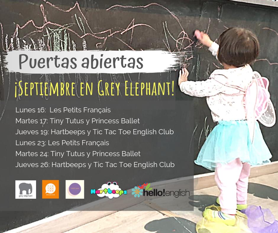 Grey Elephant tweet media