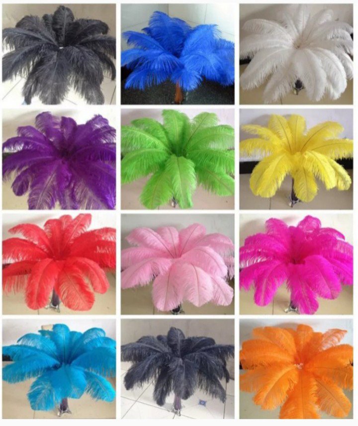 Beautiful Ostrich feathers 6-8" available in 20+ colours/shades 💜