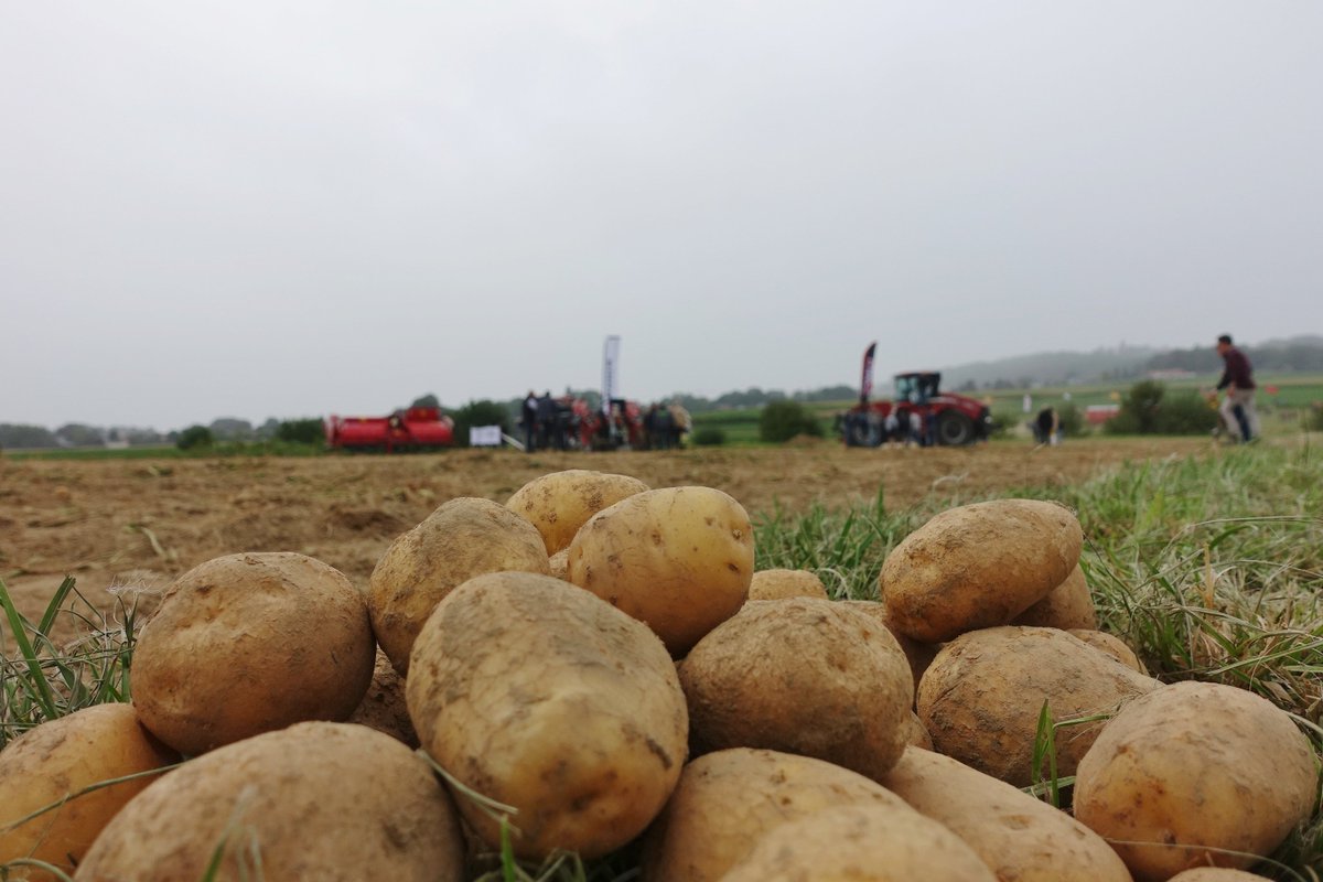 CaseIH tweet media