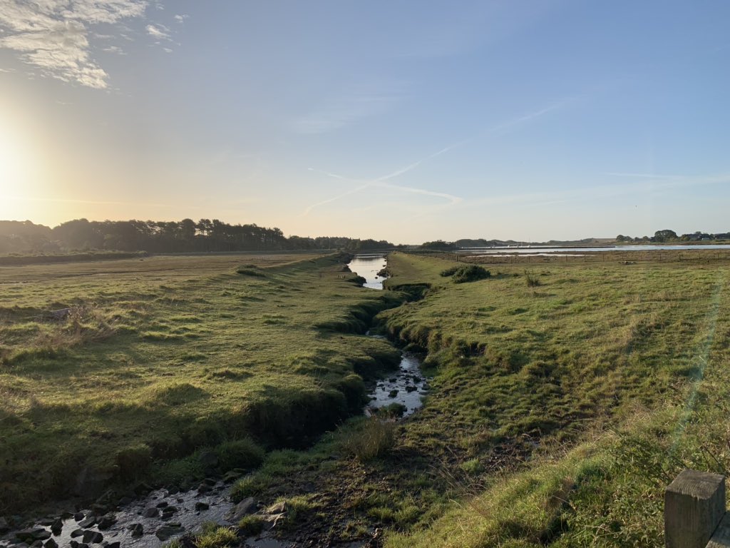 Brief bit of sun before work.