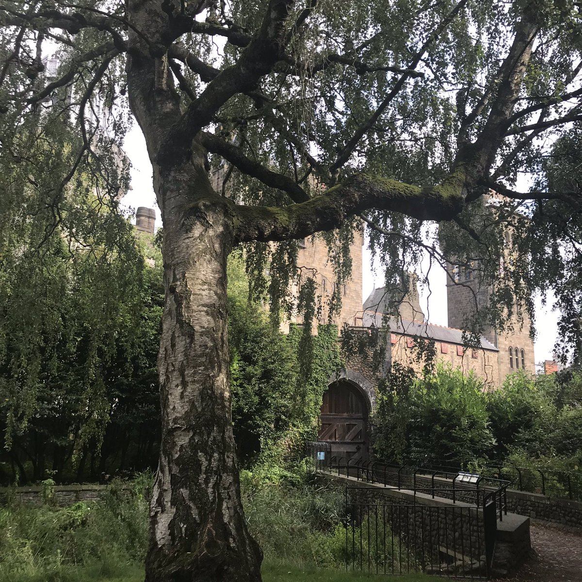 CarysGT3's tweet photo. Looking forward to another day of presentations at @Br_EPS today, here’s some snaps from our restorative walk in Bute Park yesterday afternoon #BrEPs #RestorativeEnvironments https://t.co/iEfFV9ZwTS