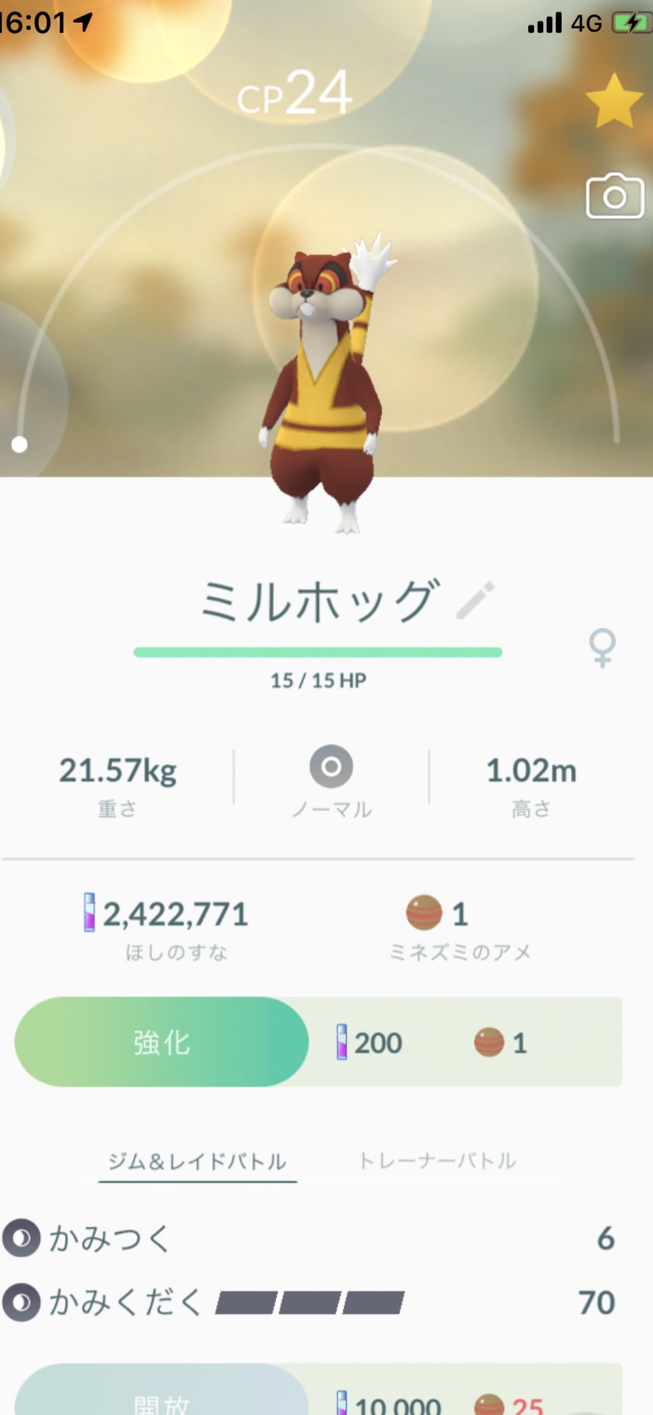 ハーデリア Twitter Search Twitter