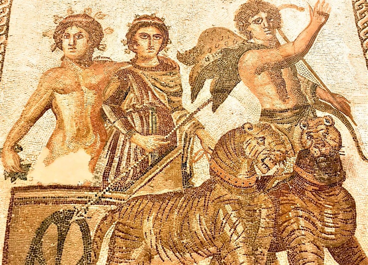 TrimontiumTrust's tweet image. While in Seville we viewed this 3rd Century #Roman mosaic, the Triumph of Bacchus, in the Archaeological Museum. The triumph is Bacchus`s conquest of India &amp;amp; he is driving a carriage pulled by tigers, alongside a satyr. You can read more by @carolemadge - buff.ly/2QamdyG