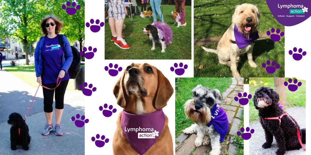 LymphomaAction's tweet photo. We're holding our first sponsored dog walk on 20 October in #WendoverWoods ๐พ๐ A great event for all ages and a chance for dogs to do their part to help people affected by #lymphoma!
Sign up here: https://t.co/CfxPAC36tN #MuddyMuttsWalk #Wendover #Bucks #CharityTuesday #DogWalk https://t.co/mdGe7omoD5