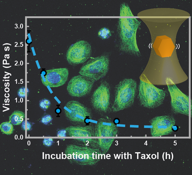 PalomaRodSev's tweet photo. The last study of my PhD in @FIG_UAM @UAM_Madrid is finally published! Check out how we used #upconverting nanorockers to measure the changes produced in the intracellular viscosity by anticancer drugs. https://t.co/Fgp6KycZ14 https://t.co/frDfqOkz4X