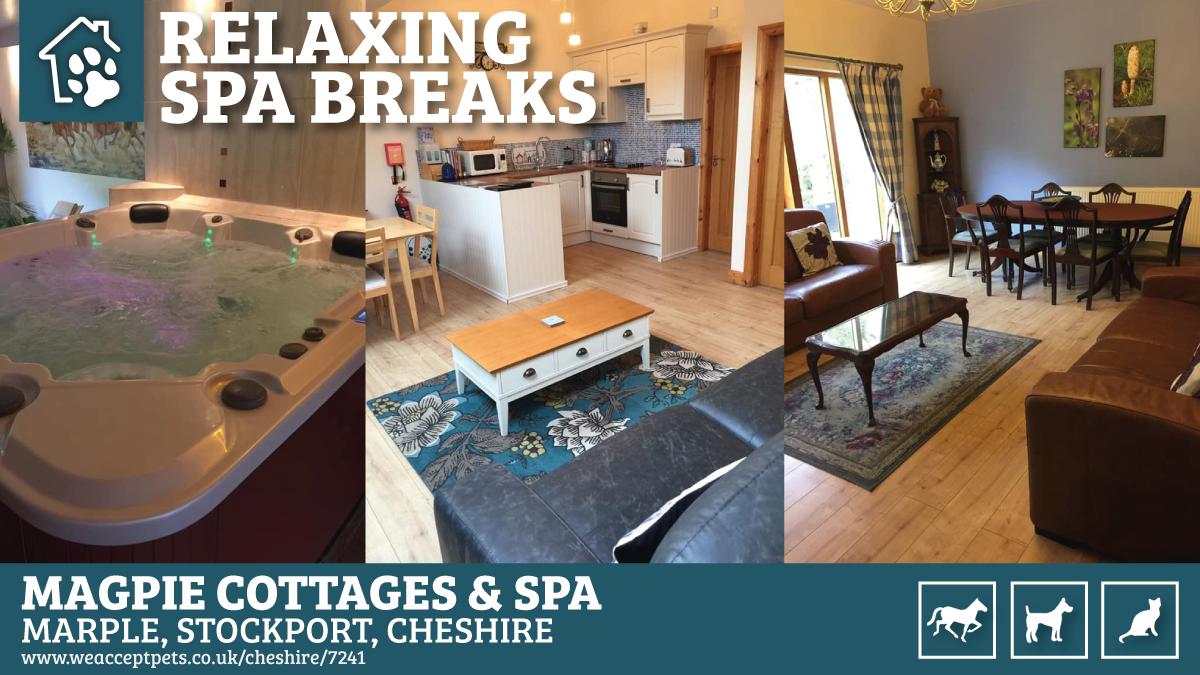 WeAcceptPets's tweet photo. Are you looking for a spa break in the Peak District? Relax in the purpose-built tropical spa available at Magpie Cottages &amp; Spa. It is open to all residents of the cottages.

Accepts 🐶🐱🐴
https://t.co/lkY6raez7H

#Cheshire #England #Holiday #Spa #SpaDay #Holiday @LizMorgan13 https://t.co/DsbH2G4Iug